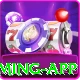 2017win Max Gaming App