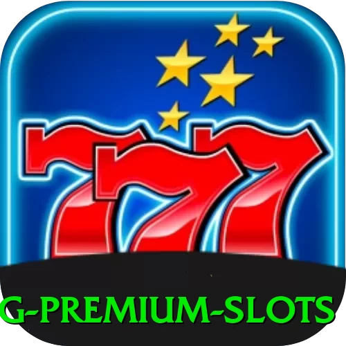baypg Premium Slots - pk