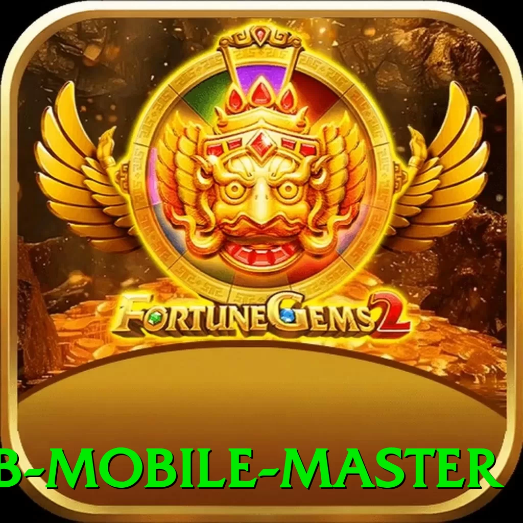 wwbb Mobile Master - pro